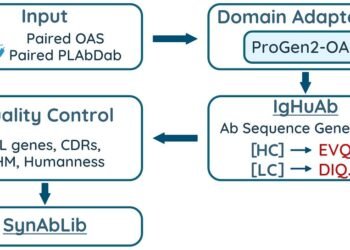 Constructing Higher Antibodies: Classes from SynAbLib and IgHuAb | by Engin Yapici | Apr, 2025