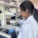 Novel technique detects microbial contamination in cell cultures | MIT Information