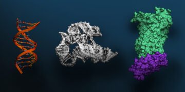 AI for Biomolecular Sciences Now Obtainable by way of NVIDIA BioNeMo