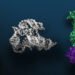 AI for Biomolecular Sciences Now Obtainable by way of NVIDIA BioNeMo