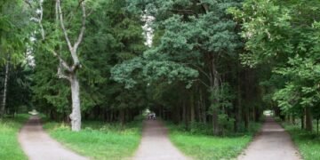 Shifting CVEs previous one-nation management – Sophos Information