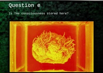 This free sport turns the Turing Check on its head with a scary AI quiz