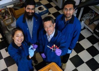 A brand new sodium steel gasoline cell might assist clear up transportation