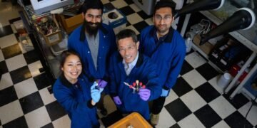 A brand new sodium steel gasoline cell might assist clear up transportation