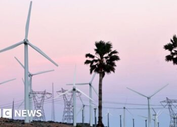 US inexperienced vitality braces for federal funding cuts