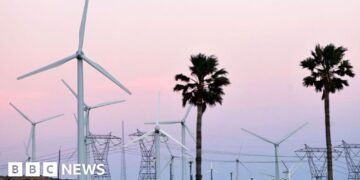 US inexperienced vitality braces for federal funding cuts