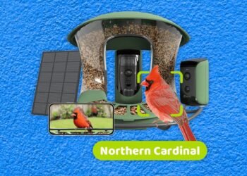 Greatest Chook Feeders With Cameras, Examined and Reviewed (2025)