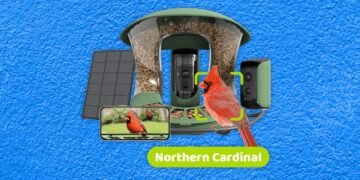 Greatest Chook Feeders With Cameras, Examined and Reviewed (2025)