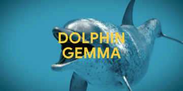 How AI can decipher dolphin communication