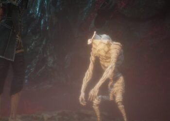 The place To Discover Bourgeon Pores and skin