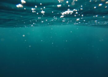 Harvesting the Advantages of Eco-Pleasant Merchandise – Chefio