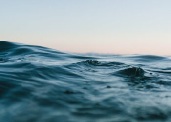 Discovering Eco-Pleasant Kitchen Merchandise – Chefio