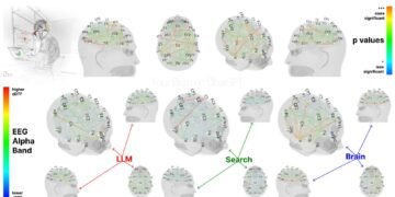 MIT mind scans counsel that utilizing GenAI instruments reduces cognitive exercise