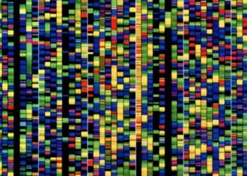 The Obtain: Google DeepMind’s DNA AI, and heatwaves’ affect on the grid