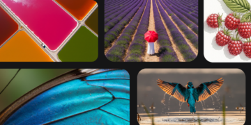 Gas your creativity with new generative media fashions and instruments