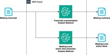 Assembly summarization and motion merchandise extraction with Amazon Nova