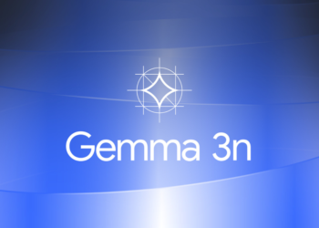 Introducing Gemma 3n: The developer information