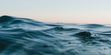 Deciding on the Finest UV Water Purifiers for Your House’s Wants – Chefio