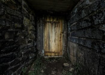 When cybercriminals eat their very own – Sophos Information