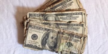 What cybercriminals do with their cash (Half 4) – Sophos Information