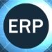 Repair ERP Ache, Increase Development