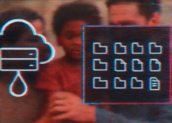 Large Knowledge Leak at Texas Adoption Company Exposes 1.1 Million Data