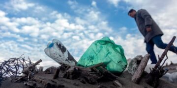 Central American Seashores Are Being Overrun With Native and Overseas Plastic