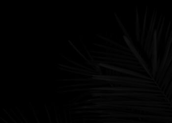 In-Demand Kitchen Improvements for Aspiring Residence Cooks – Chefio