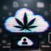 Practically 1M SSNs and Well being Information Uncovered in Marijuana Affected person Database