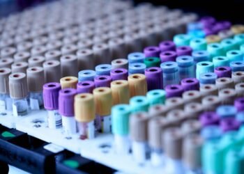 Learn how to Design Machine Studying Experiments — the Proper Method