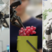 Gemini Robotics 1.5 brings AI brokers into the bodily world