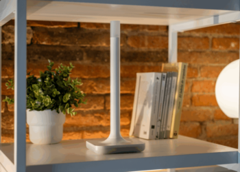 Dwelling Assistant’s new {hardware} builds a long-range sensible house