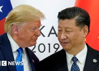 Trump and Xi focus on way forward for TikTok in US
