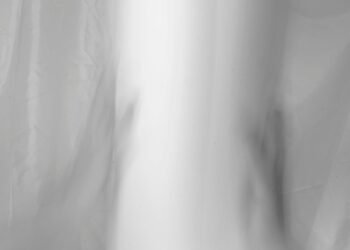 Boosting Creativity within the Trendy Chef’s Area – Chefio