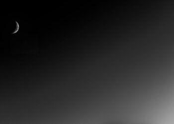 Understanding Maximalist Dwelling Decor Developments Shaping 2025 Interiors – Chefio