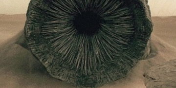 Self-Replicating Worm Hits 180+ Software program Packages – Krebs on Safety