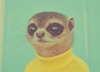 The Obtain: The rehabilitation of AI artwork, and the scary reality about antimicrobial resistance