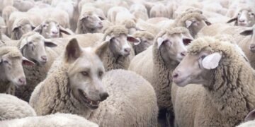 Hackers Proceed to Evolve Techniques