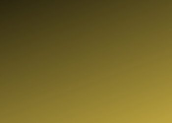 Information to Progressive Kitchen Instruments Cherished by Residence Cooks – Chefio