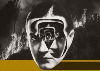 The Obtain: The right way to survive a conspiracy concept, and moldy cities