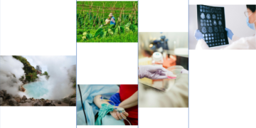 How researchers are utilizing Google’s biology AI system AlphaFold