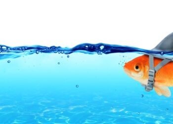 Phundamental or pholly? – Sophos Information