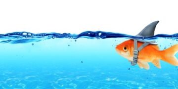 Phundamental or pholly? – Sophos Information