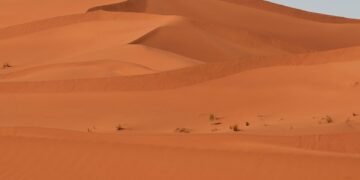 Shai-Hulud is again with a brand new marketing campaign infecting extra npm packages