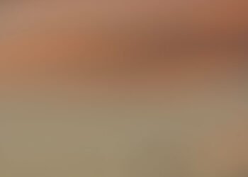 A Deep Dive into the Daring – Chefio