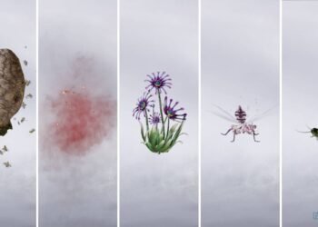 The place Winds Meet: Full Qinghe Oddity Information