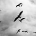 Momento Migrates Object Cache as a Service to Ampere® Altra®