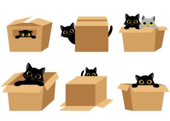 A brand new option to improve the capabilities of enormous language fashions | MIT Information