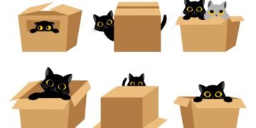 A brand new option to improve the capabilities of enormous language fashions | MIT Information