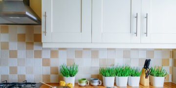 Information to Sustainable and Eco-Pleasant Kitchen Merchandise for a Greener House – Chefio